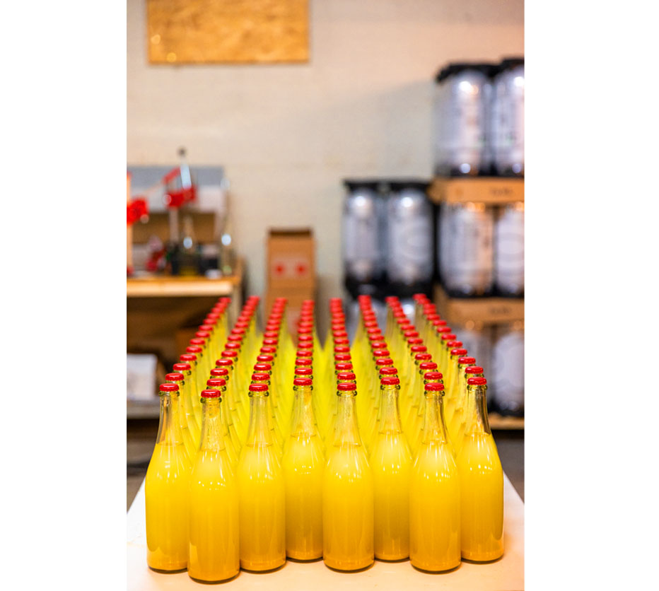 BOK, Ciderrevolution! av Fruktstereo BOK, Ciderrevolution! av Fruktstereo