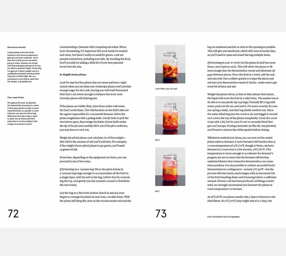 BOK, The Noma Guide to Fermentation BOK, The Noma Guide to Fermentation