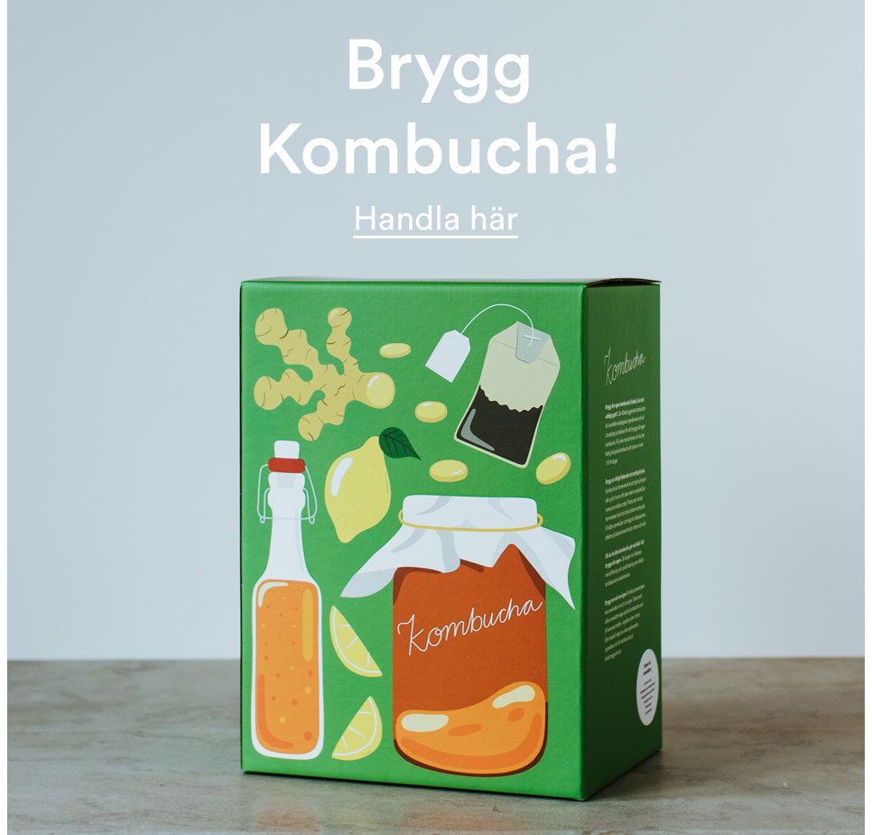 Brygg Kombucha